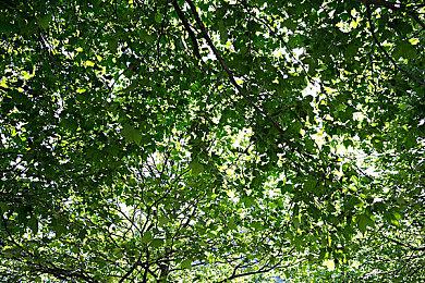 生存建造银河城游戏《肯特开拓史》中文宣传片发布！