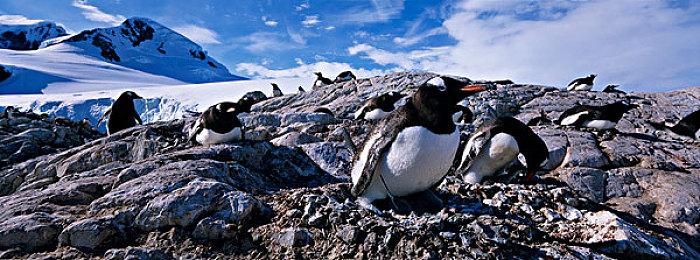 新纪录！《天国：拯救2》Steam玩家峰值突破25万